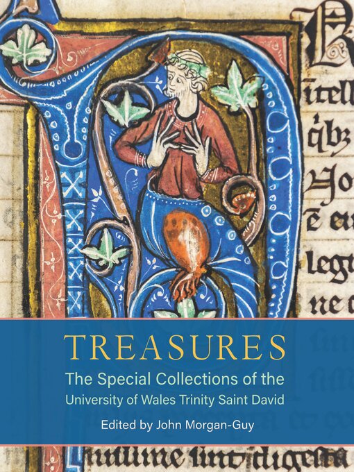 Title details for Treasures by John Morgan-Guy - Available